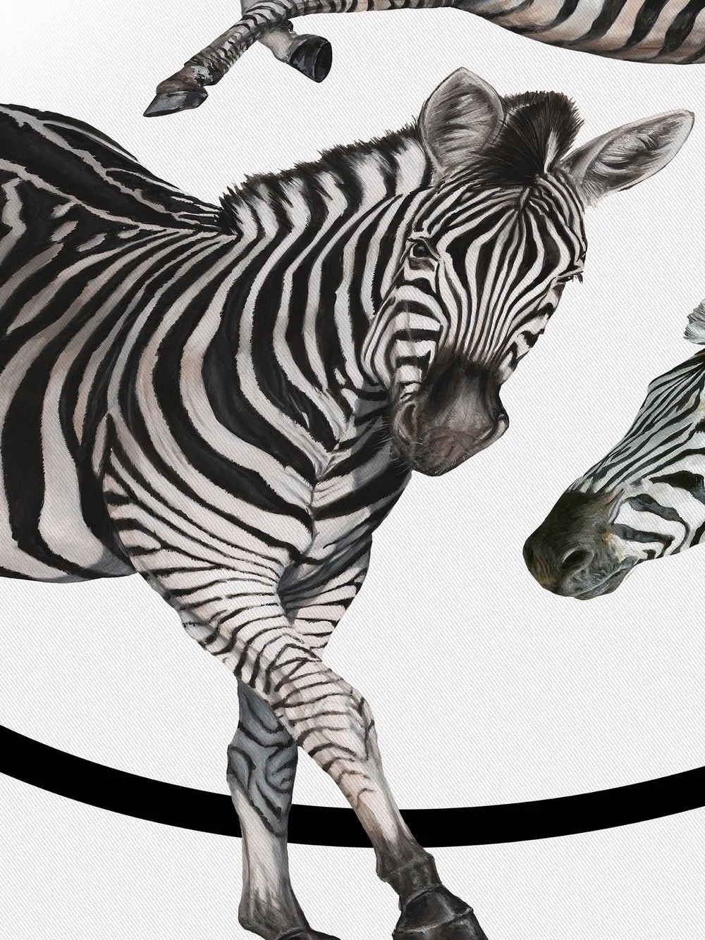 Dolce & Gabbana zebra-print double-faced blanket | Blankets & Throws | Image 2