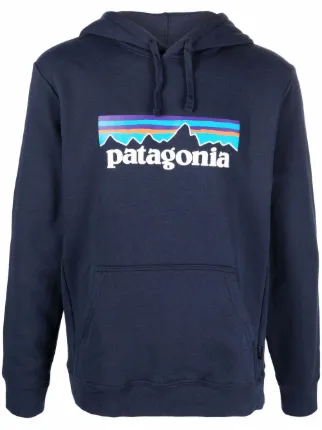 Patagonia hoodie blue online