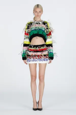 Feather-Embellished Striped Mini Skirt