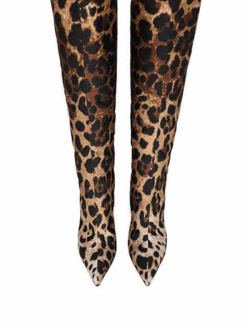 Dolce \u0026 Gabbana leopard-print pointed 