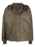 Alexander McQueen Blake hooded jacket - Green