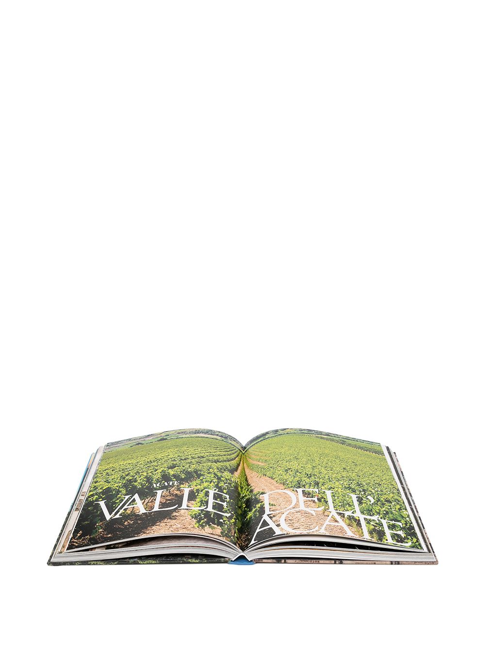 фото Rizzoli книга sicily: wines and wine routes