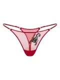 Zhilyova embroidered sheer thong