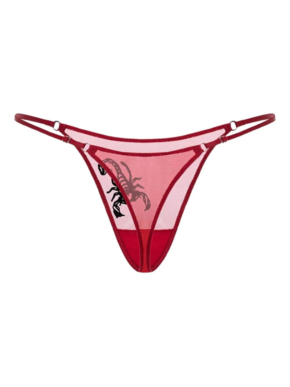 Zhilyova embroidered sheer thong | Image 2