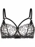 Fleur Of England Kittie caged-strap balcony bra - Black