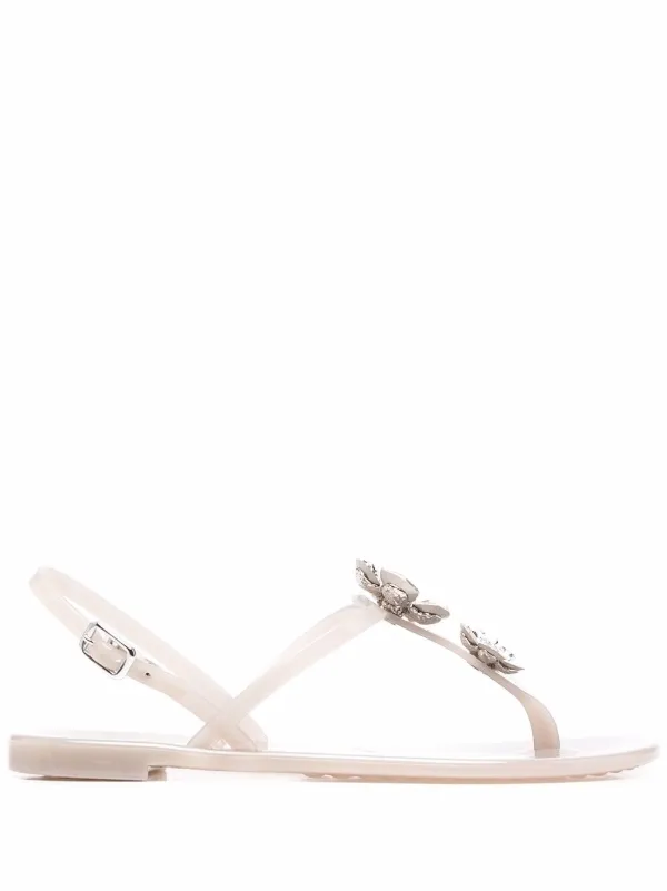 casadei jelly