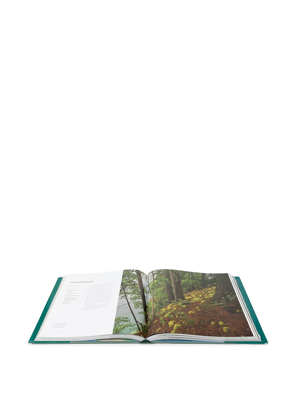 фото Rizzoli america's great forest trails hardback book