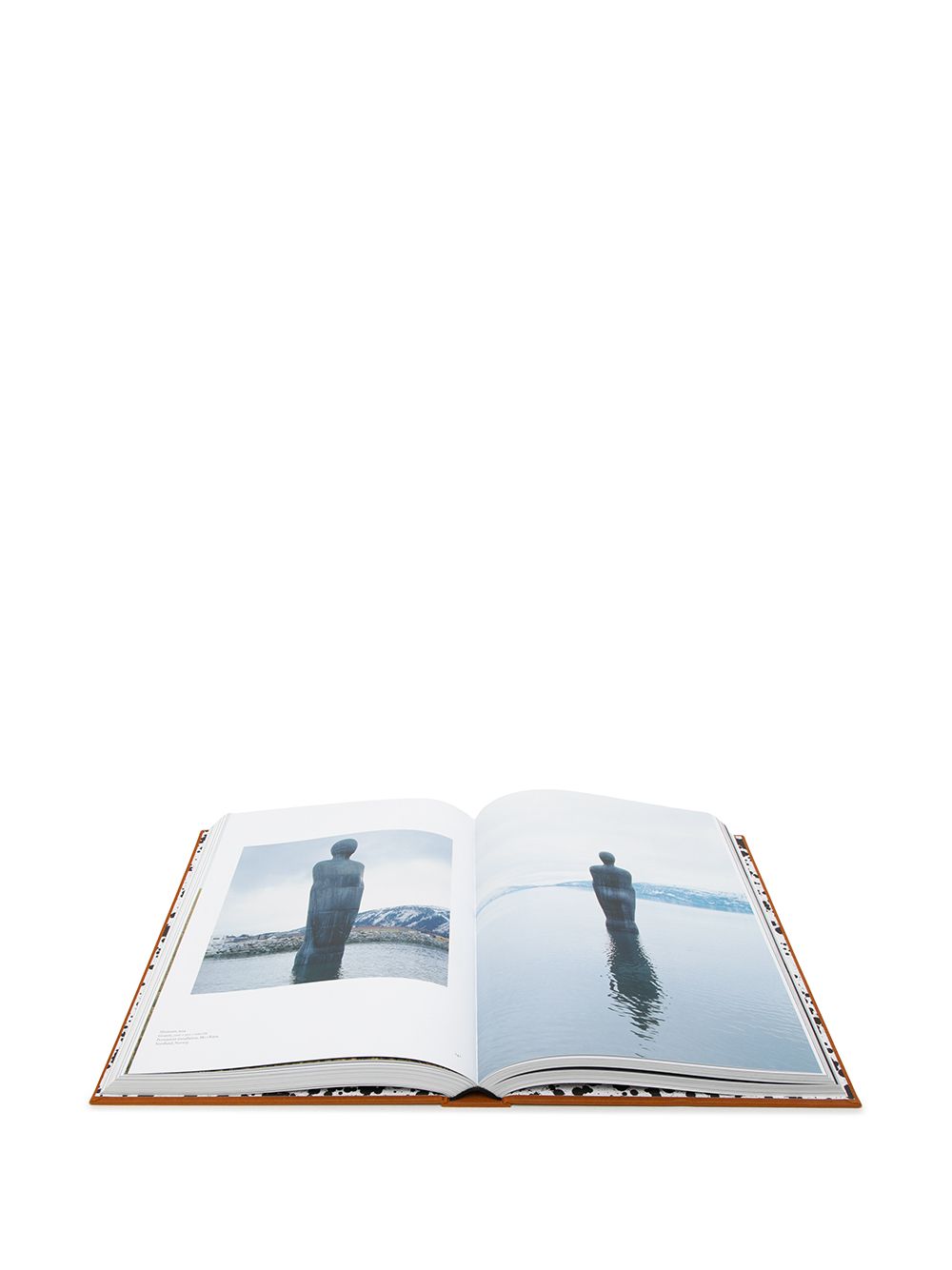 фото Rizzoli antony gormley hardback book