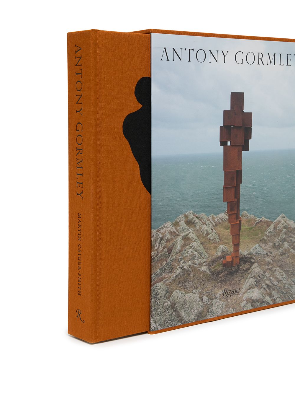 фото Rizzoli antony gormley hardback book