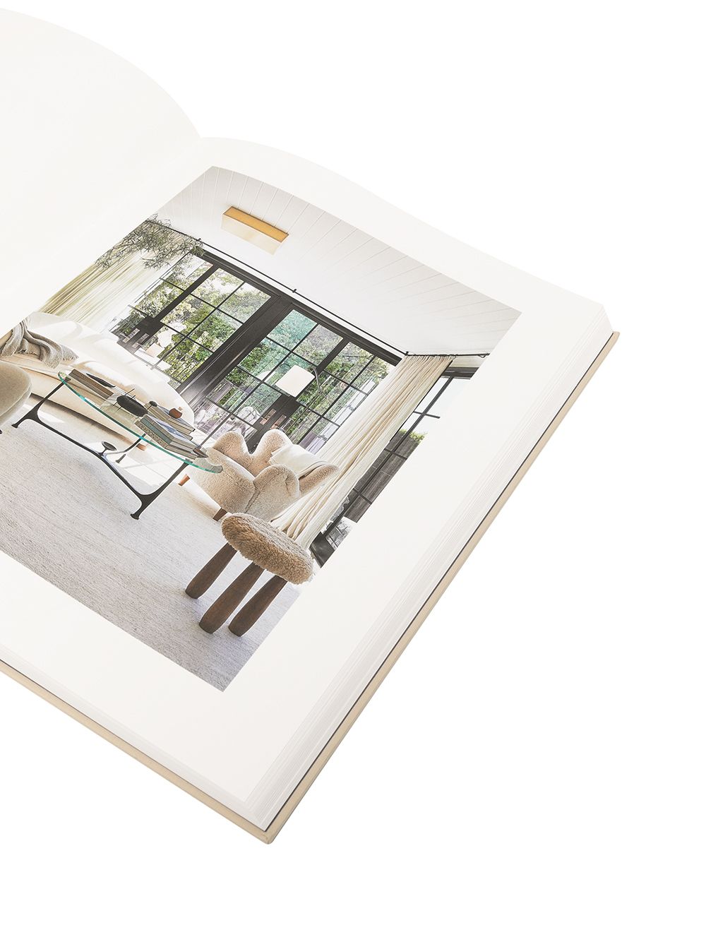 фото Rizzoli eight homes hardback book