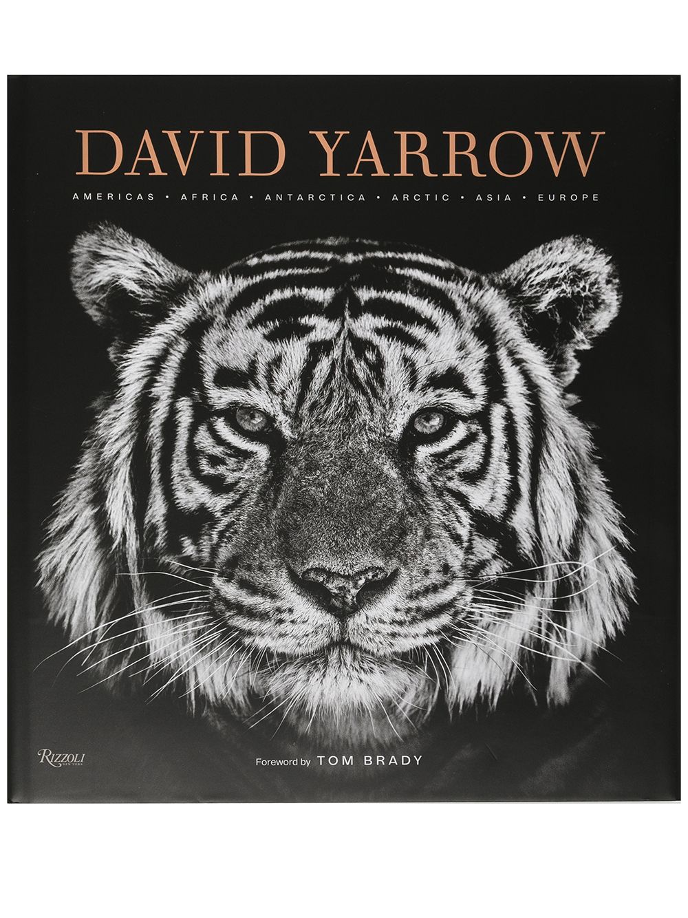 фото Rizzoli david yarrow photography hardback book