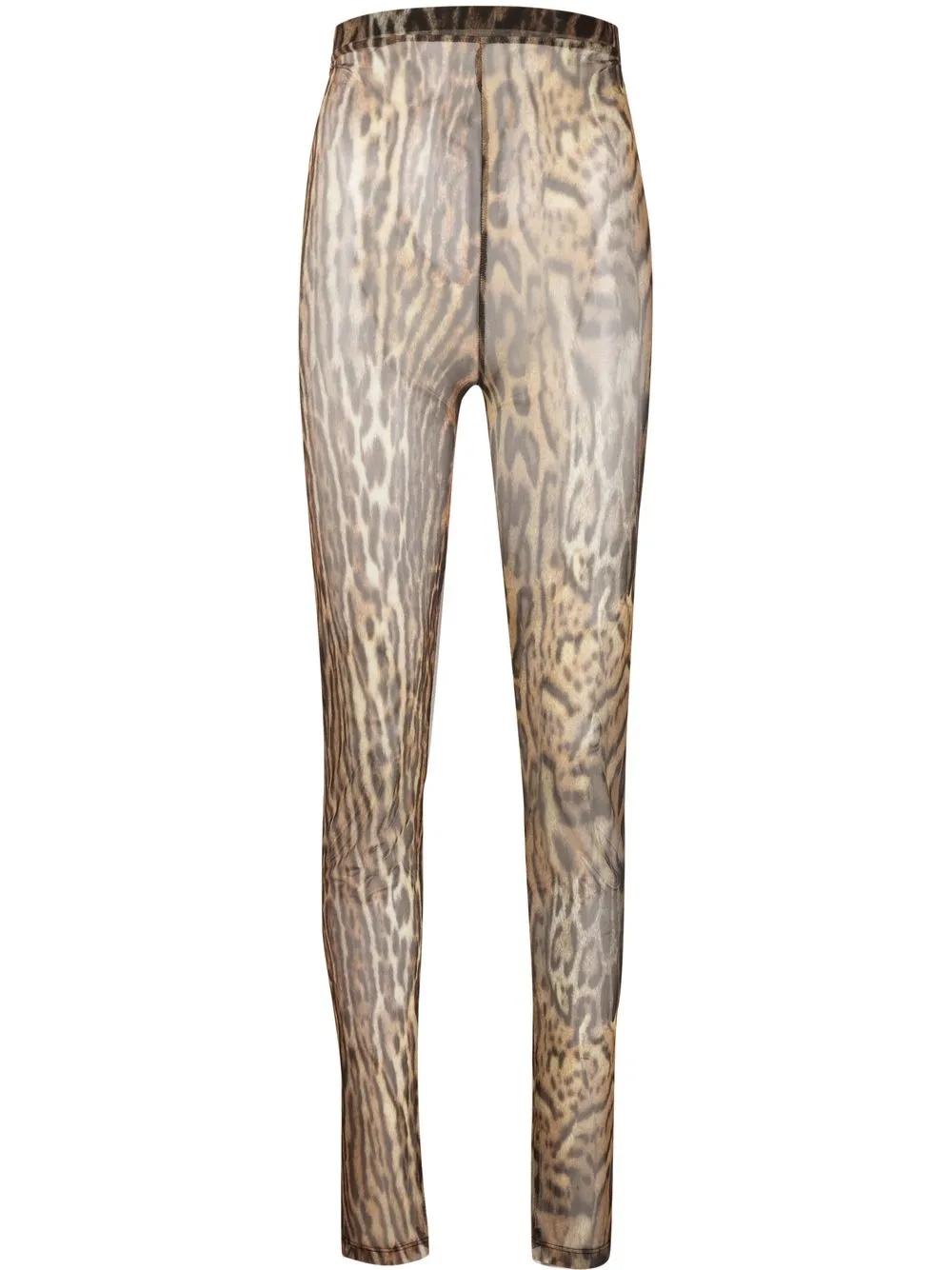 

Roberto Cavalli leopard print sheer leggings - Brown