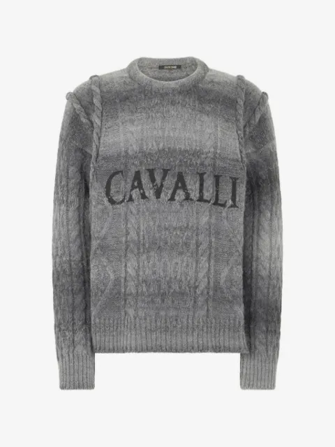 Roberto Cavalli embroidered-logo crew-neck sweater 