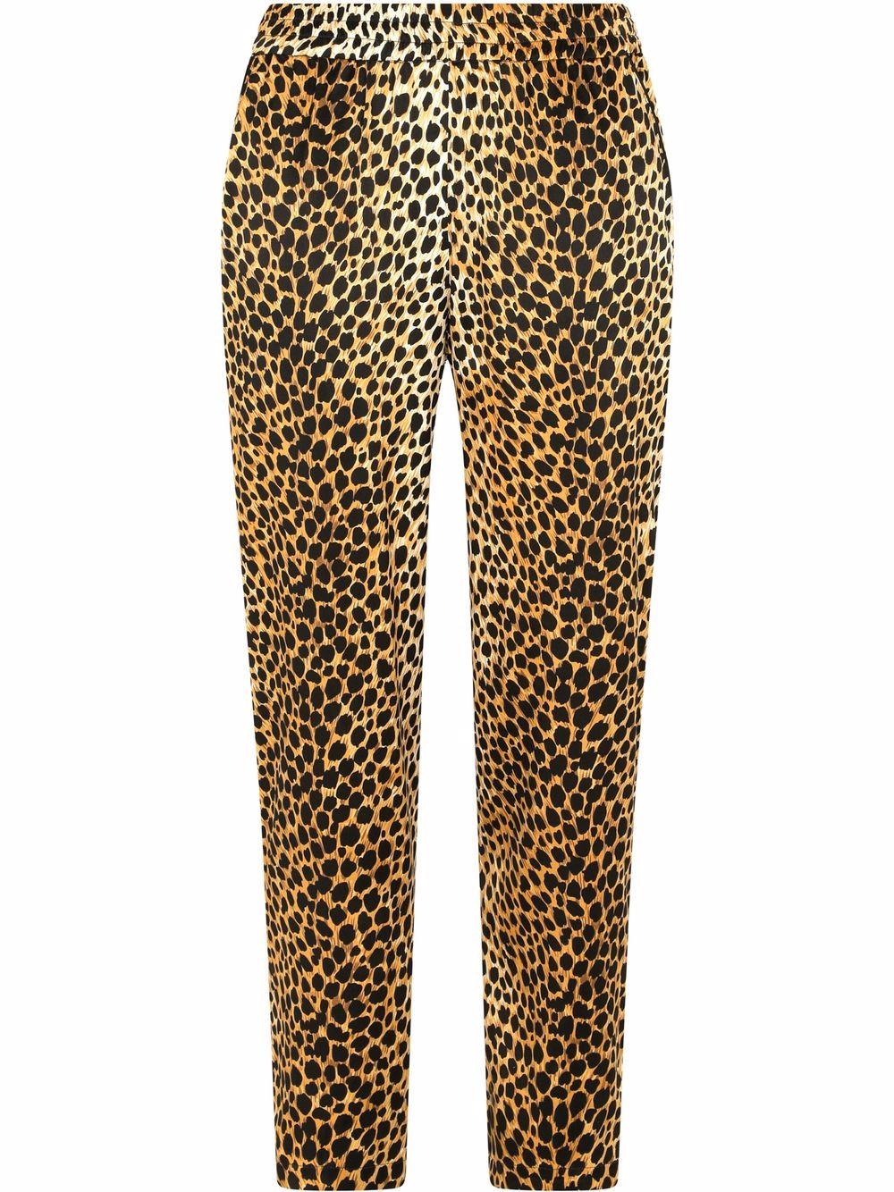 Dolce & Gabbana leopard-print Tapered Trousers - Farfetch