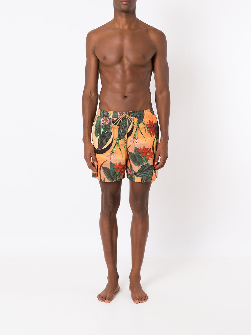 Shop Lygia & Nanny Gil Tropical Foliage-print Swimming Shorts In Yellow