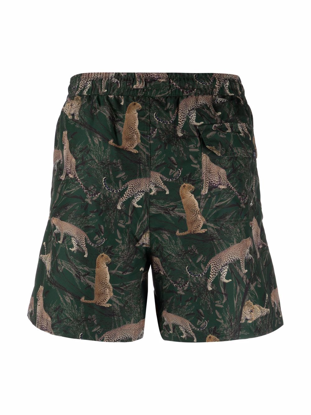 фото Antonella rizza florida leopard-print swimming shorts