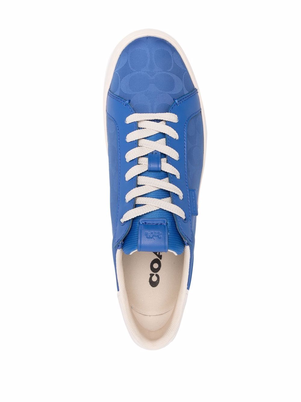 royal blue coach shoes