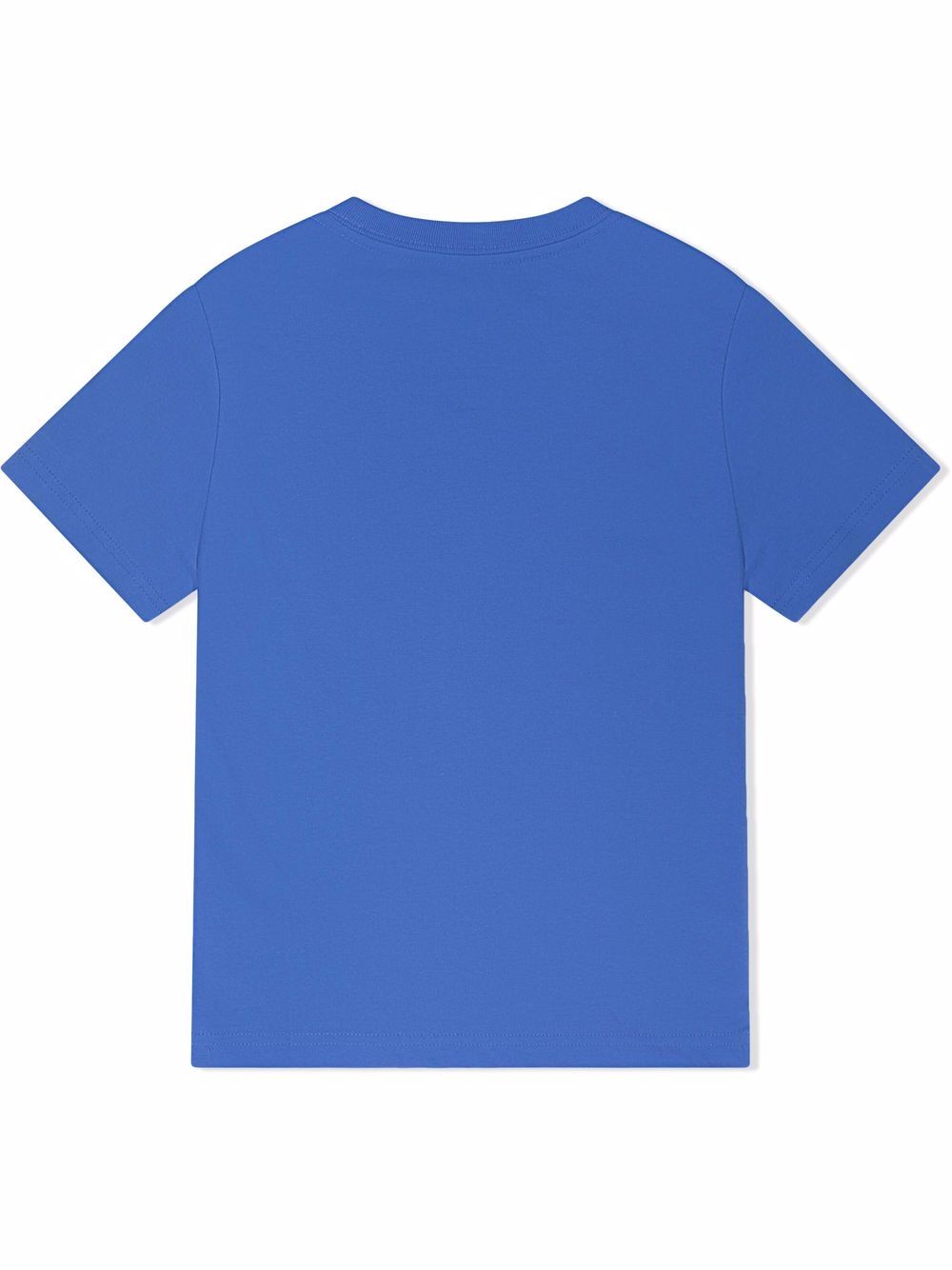 Ralph Lauren Kids Katoenen T-shirt - Blauw