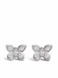 Pragnell 18kt white gold Butterfly diamond stud earrings - Silver