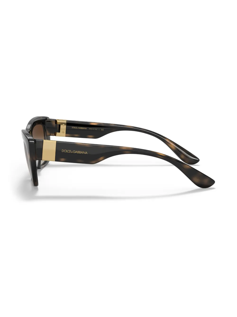 Dolce & Gabbana Eyewear Zonnebril met vierkant montuur Bruin