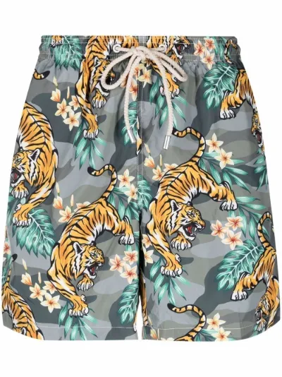 tiger-print swim shorts | MC2 Saint 
