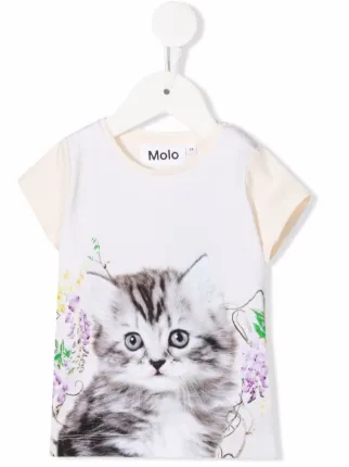 Molo