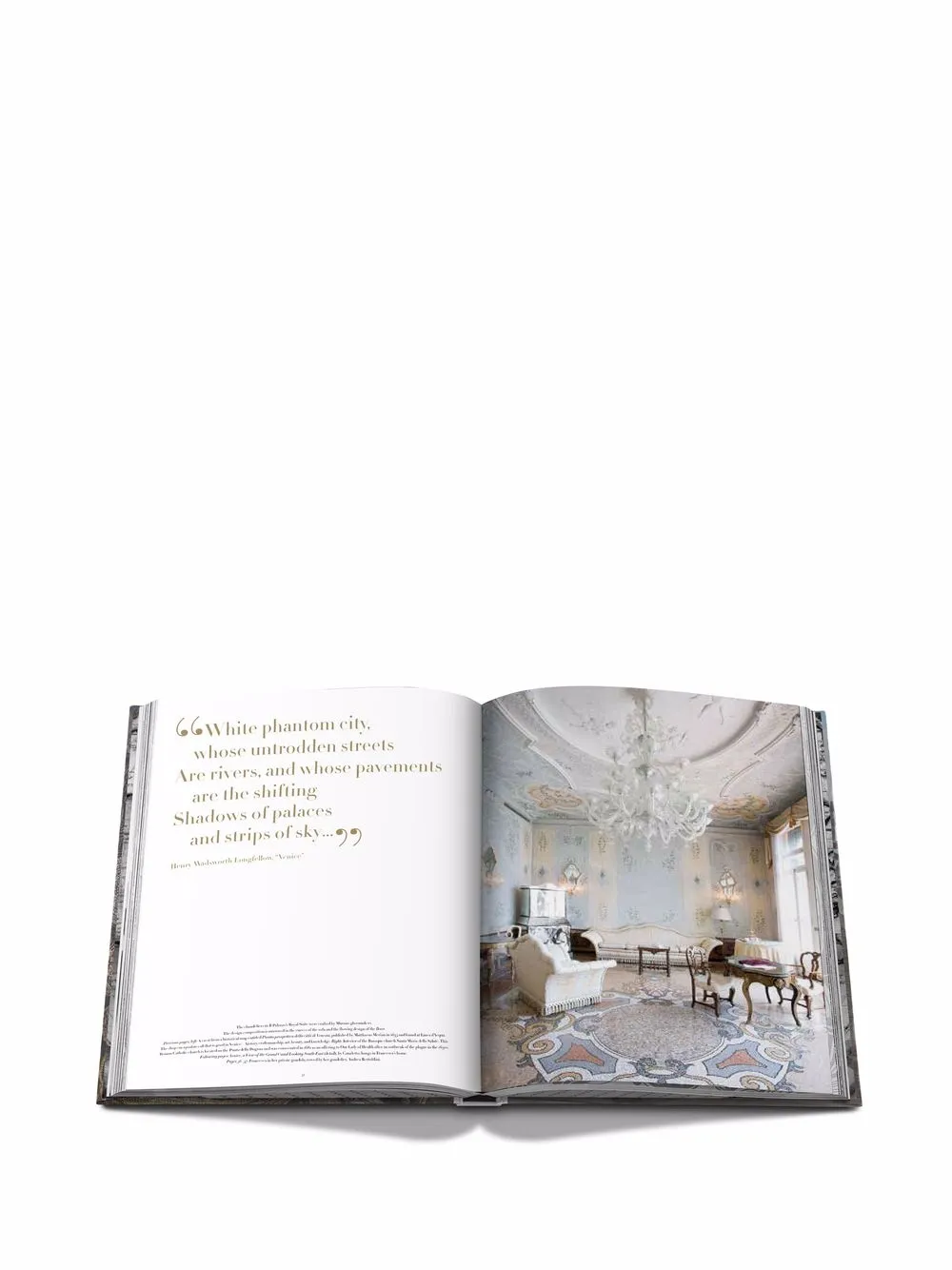 Venetian Chic Coffee Table Book