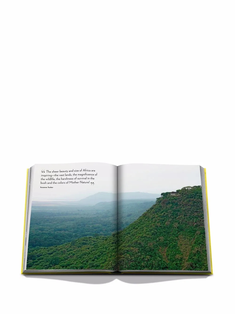 Assouline Libro da tavolo Travel by Design | Image 5
