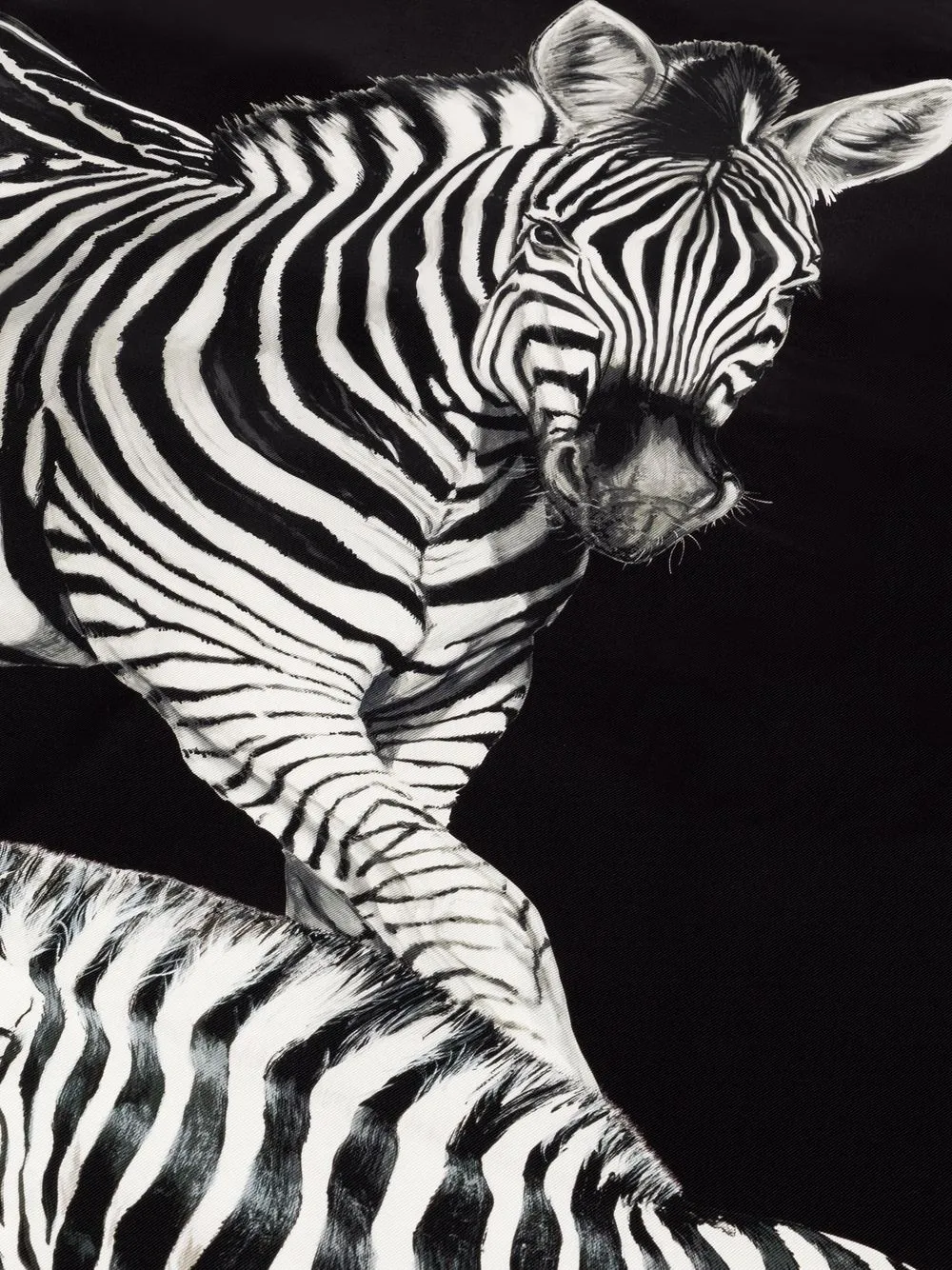  Dolce & Gabbana Zebra-print Silk Quilt Blanket - Black 
