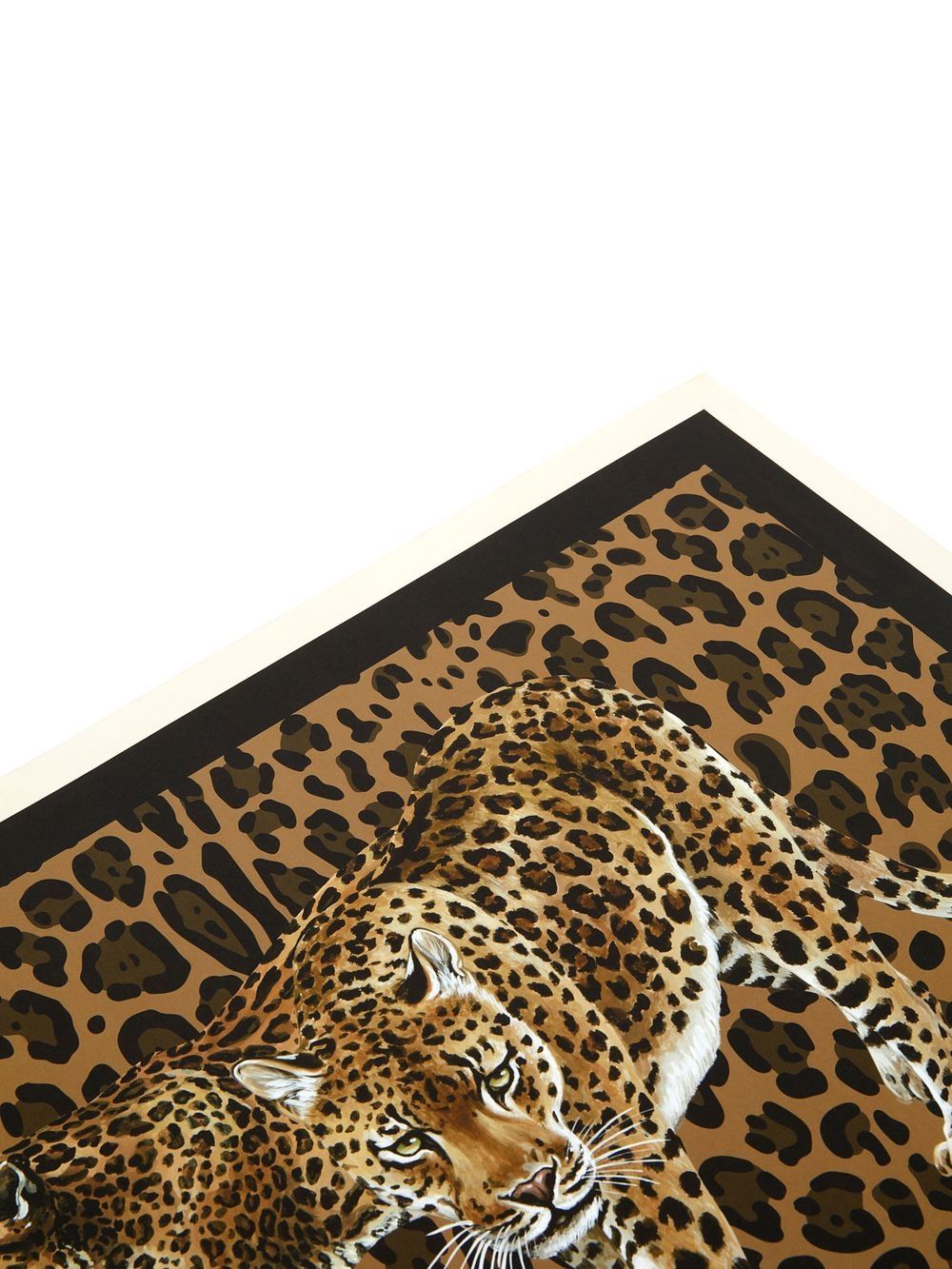 Shop Dolce & Gabbana Set Of 36 Leopard Placemats In Brown