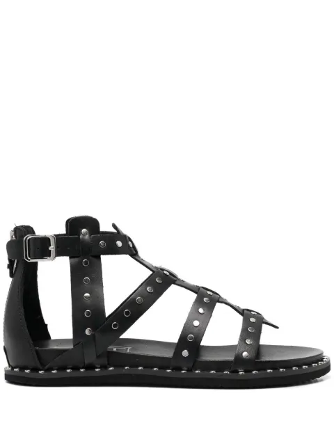 Cult - studded gladiator sandals