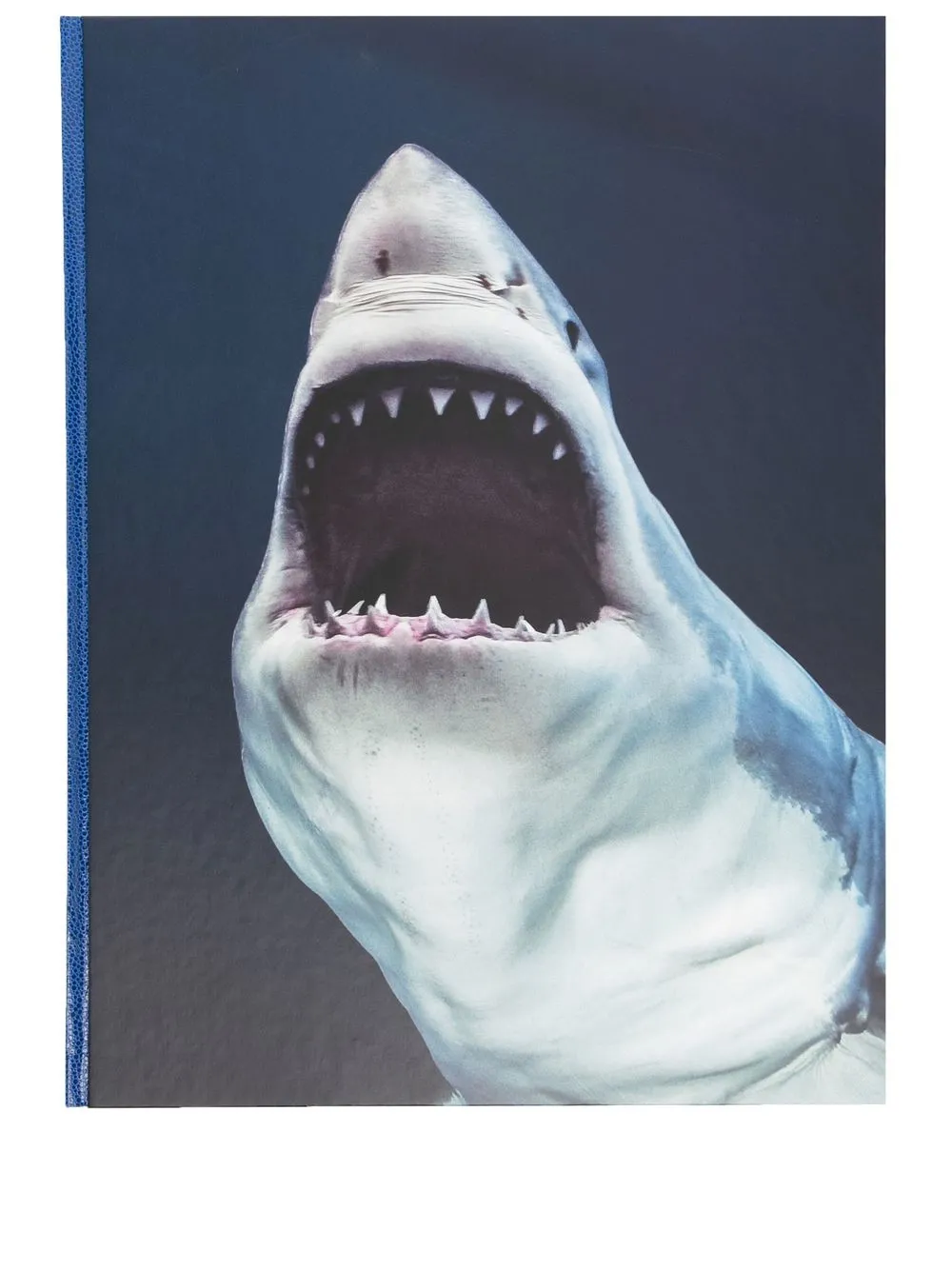 

TASCHEN libro de fotografía Michael Muller Sharks - Azul