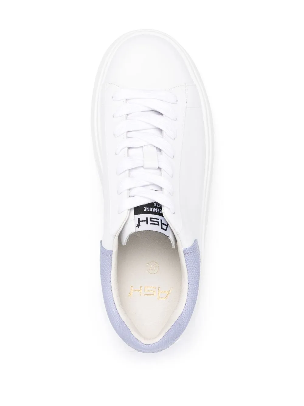 Ash Moby lace up sneakers White