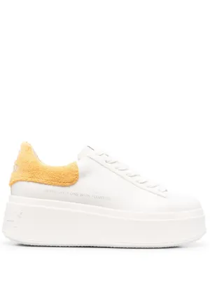 ash zip trainers