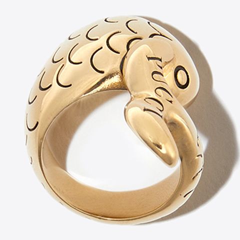 aquarius ring gold