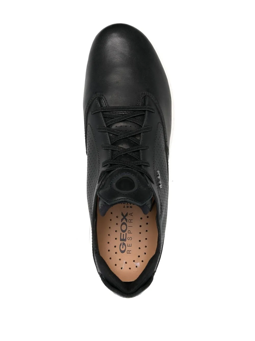 Geox logo-plaque low-top sneakers Black