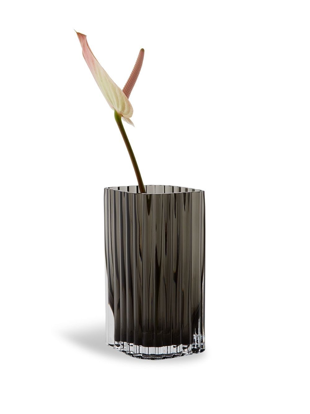 Shop Aytm Folium Glass Vase In Schwarz