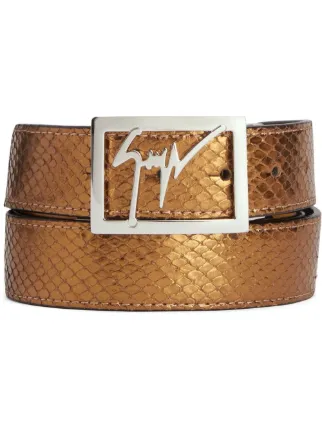 Giuseppe Zanotti