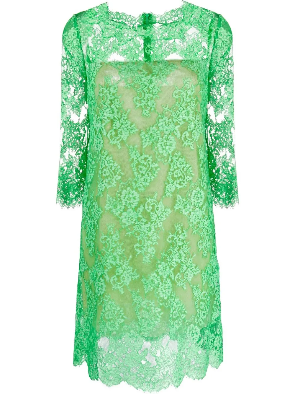 

Ermanno Scervino vestido rectos de encaje transparente - Verde