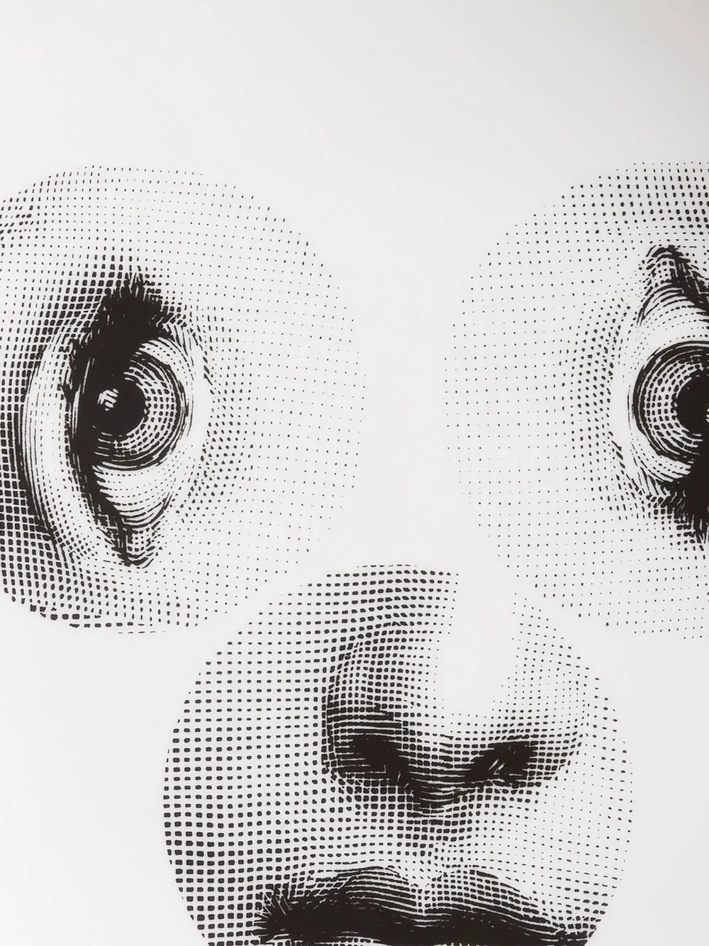 Fornasetti Tema e Variazioni n.40 ウォールプレート