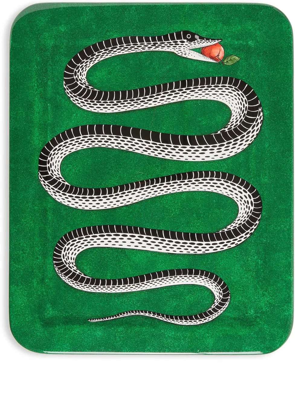 

Fornasetti bandeja Serpente - Verde