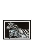 Dolce & Gabbana zebra-print set of thirty-six placemats - Black