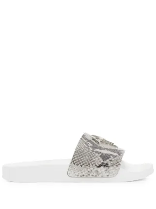 Giuseppe Zanotti