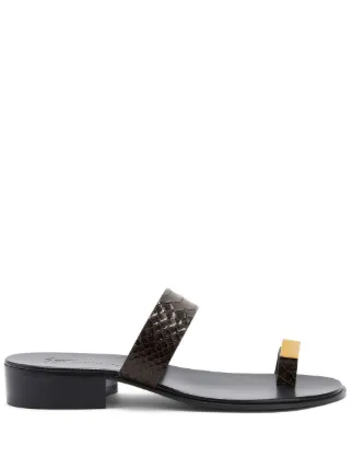 Giuseppe Zanotti