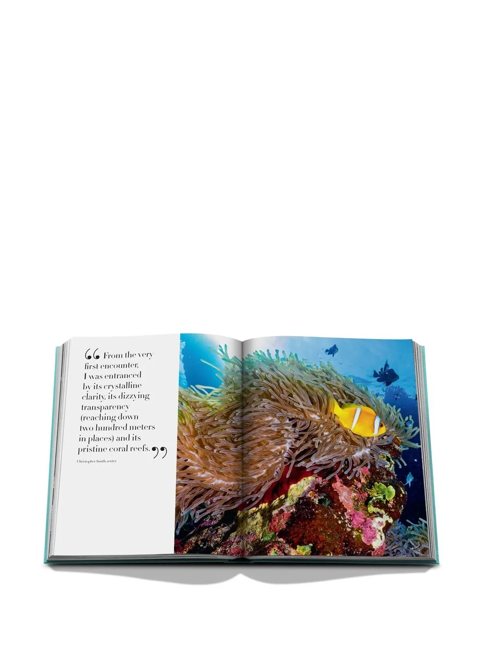 Shop Assouline Redsea: The Saudi Coast In Blue