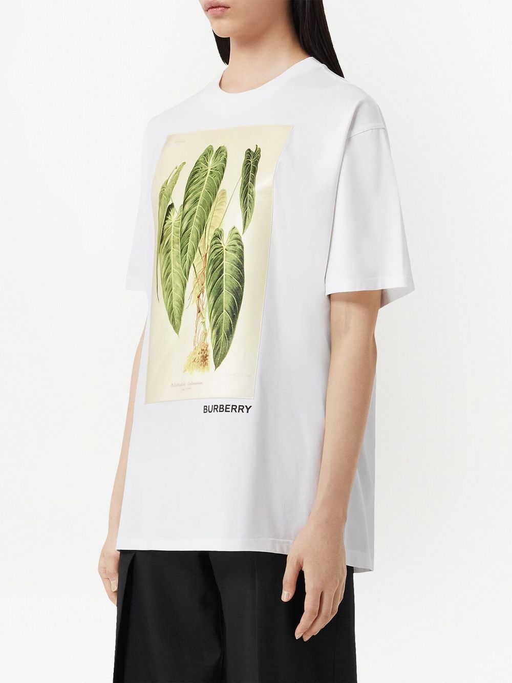 Burberry sketch-print short-sleeve T-shirt Women