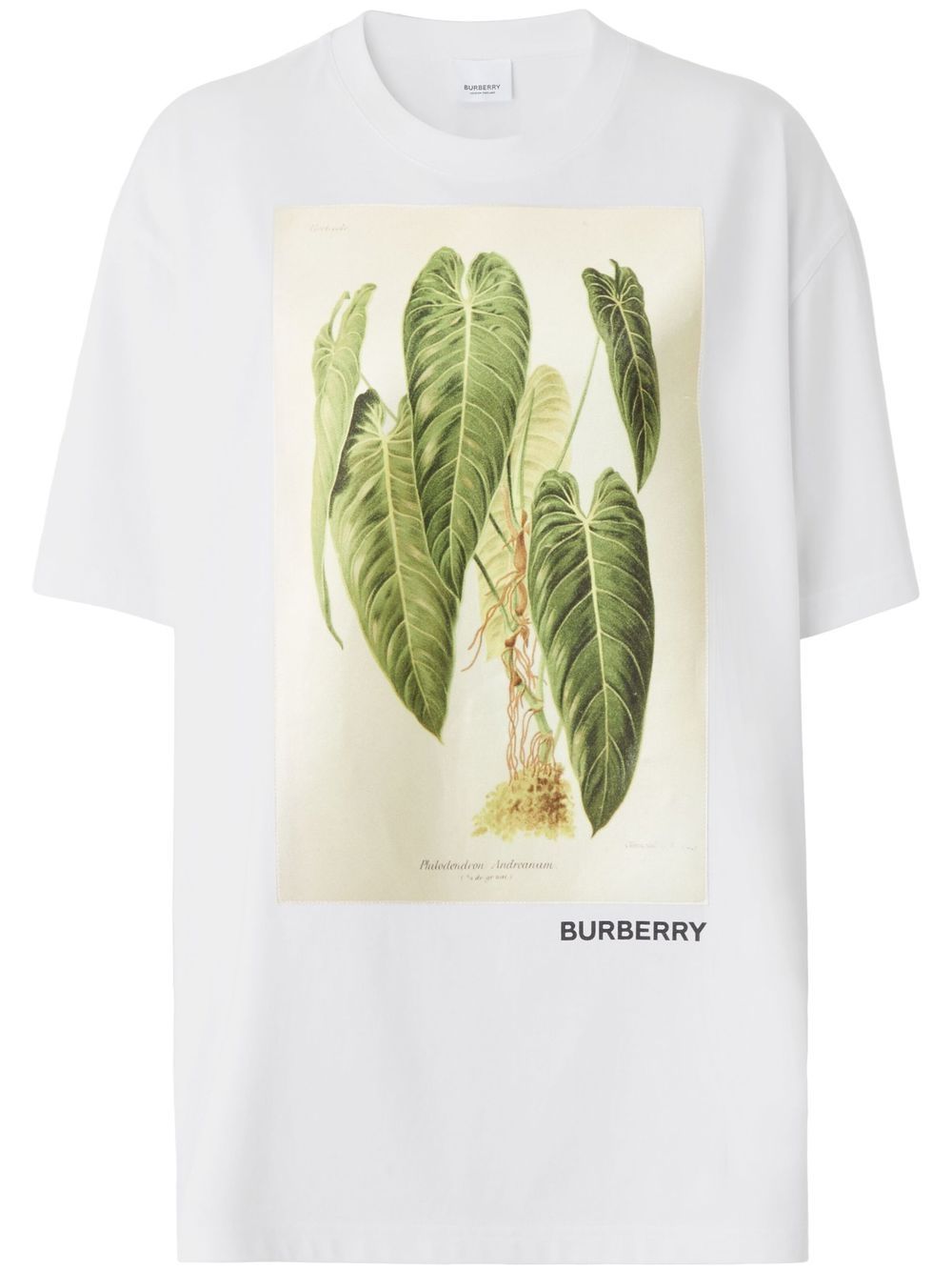 Burberry sketch-print short-sleeve T-shirt Women