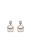 Yoko London 18kt yellow gold Starlight south sea pearl and diamond earrings