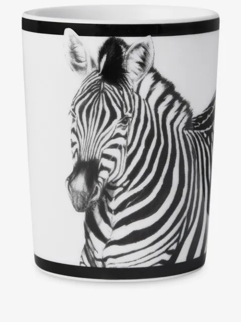 Dolce & Gabbana taza de porcelana con motivo de cebra