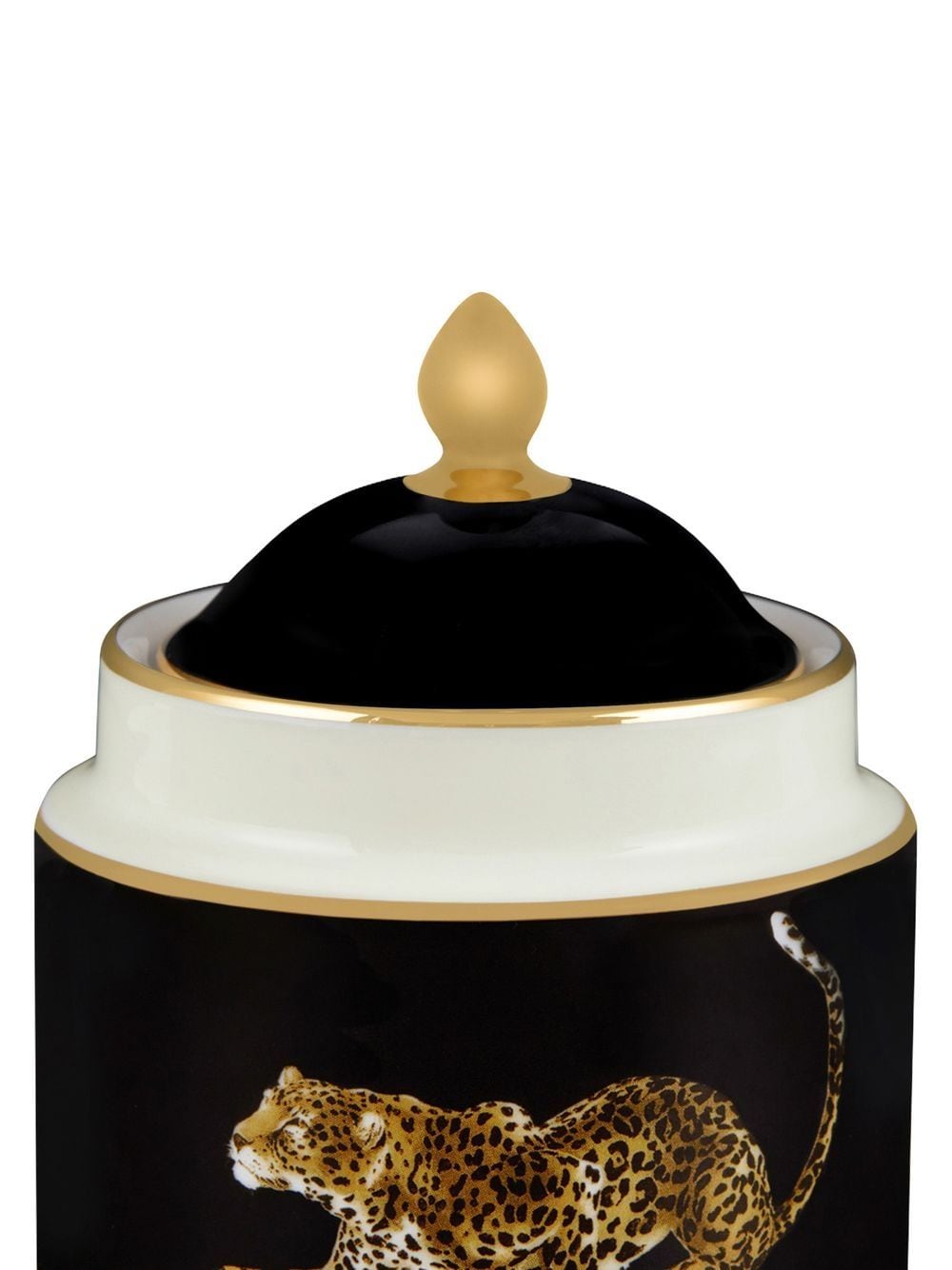 Shop Dolce & Gabbana Leopard-print Porcelain Sugar Brown In Black